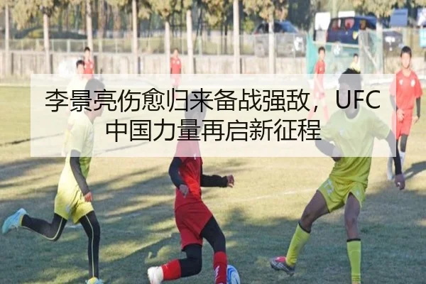 李景亮伤愈归来备战强敌，UFC中国力量再启新征程