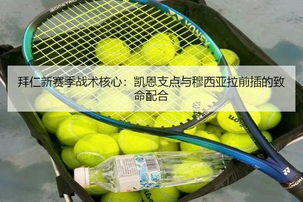 拜仁新赛季战术核心：凯恩支点与穆西亚拉前插的致命配合
