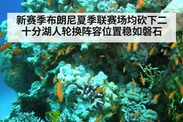 新赛季布朗尼夏季联赛场均砍下二十分湖人轮换阵容位置稳如磐石